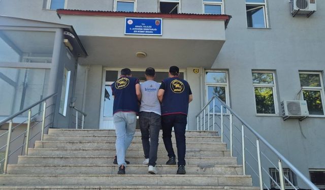 Bingöl’de 5 bin 176 kök kenevir ele geçirildi