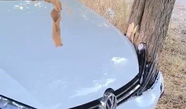 Bölge