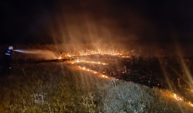 Van'da örtü yangını söndürüldü