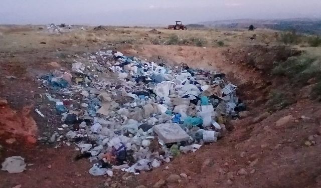 İki köyün sınırındaki çöplük hayvanların kabusu oldu