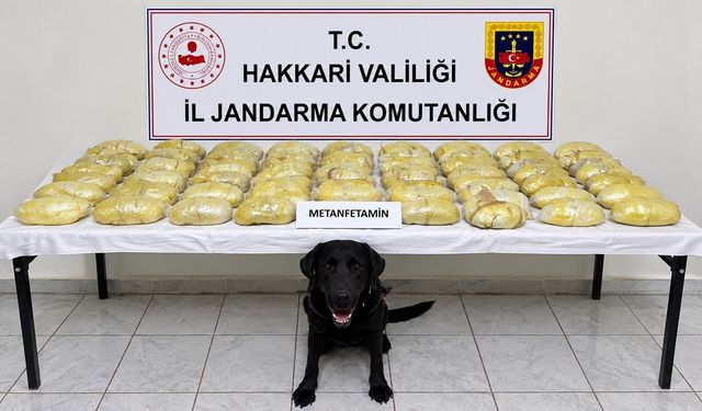Bölge