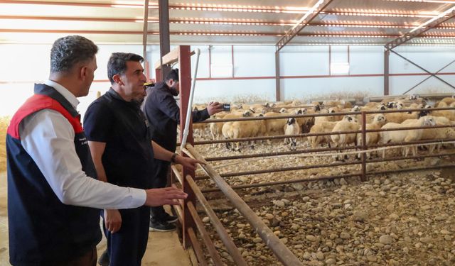 Tunceli’de kırsal kalkınma destekleri üretime katkı sağlıyor