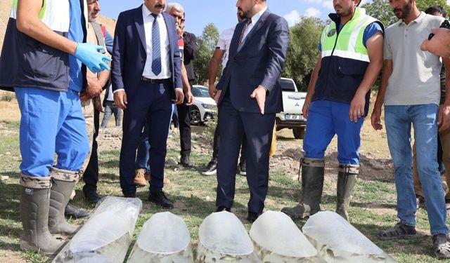Bitlis’te göl ve göletlere 1 milyon 397 bin 500 yavru sazan bırakıldı