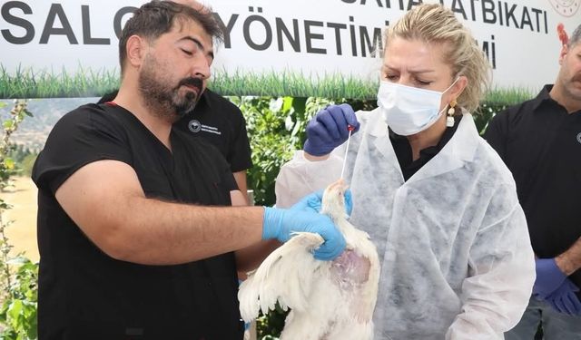 Elazığ’da kuş gribine karşı saha tatbikatı gerçekleştirildi