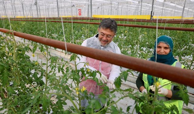 Bakan Yumaklı Erzincan’da jeotermal serayı inceledi