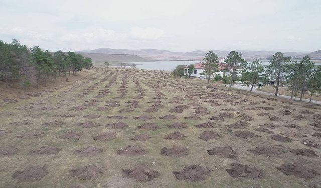 Kars’ta "Yeşil Vatan" için kurumlar güçlerini birleştirdi