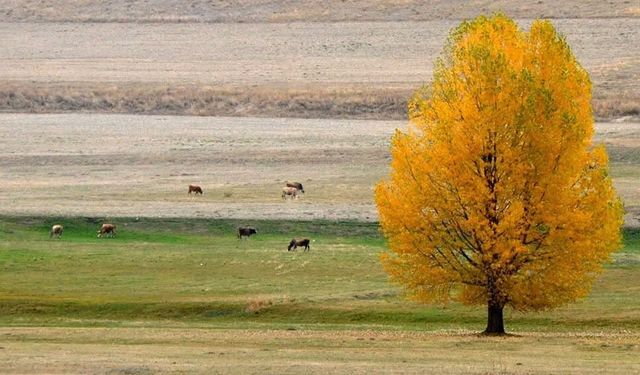 Tarımda pestisit kullanımına dijital takip: “B-Reçete” dönemi başladı