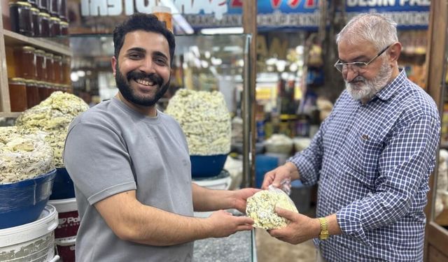 Otlu küp peyniri tezgâhlardaki yerini almaya başladı