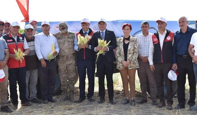 Silajlık Mısır Hasadı Tarla Günü