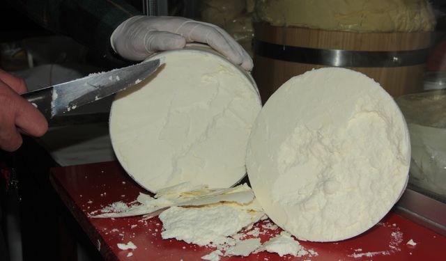 Erzincan Tulum Peyniri toz forma dönüştürülüyor