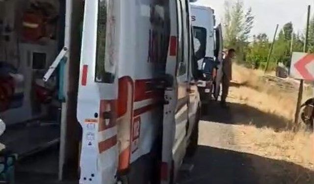 Elazığ’da araç şarampole devrildi: 2 yaralı