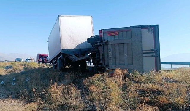 Iğdır’da yola çıkan eşek kazaya neden oldu: 2 yaralı