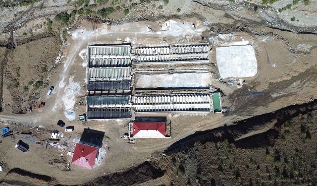 Erzincan’dan 18 ülkeye somon yolculuğu