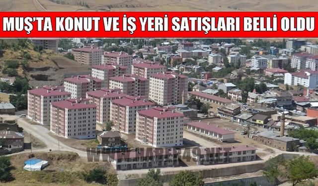 Muş’ta konut ve iş yeri satış rakamları belli oldu