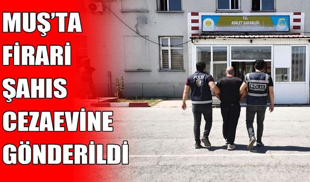 Muş’ta 4 yıl 2 ay hapis cezasıyla aranan şahıs yakalandı