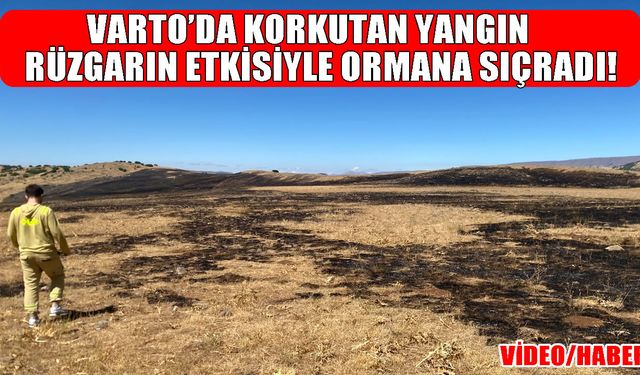Varto’da korkutan yangın: Anız alevleri ormana sıçradı
