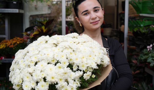 Eylül ayında kasımpatı ve sıklamen çiçeklerine ilgi arttı