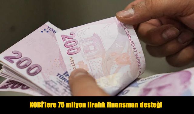 KOSGEB’den KOBİ’lere 75 milyon liraya kadar kredi desteği