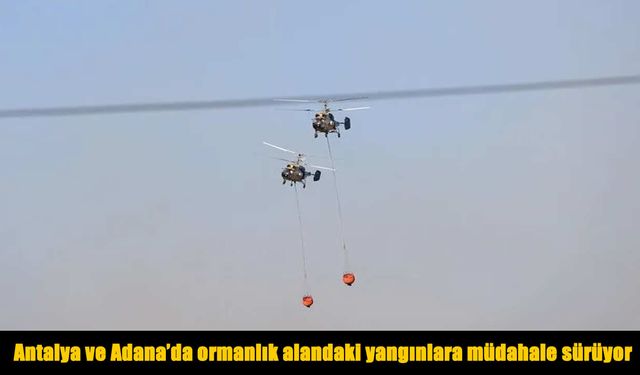Antalya ve Adana’da orman yangınlarıyla mücadele sürüyor