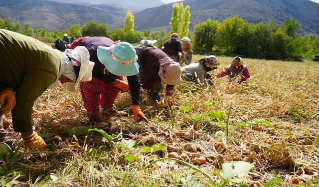 Erzincan’a 169,6 milyon liralık tarımsal hibe desteği