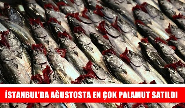 İstanbul’da ağustos ayında en çok palamut tercih edildi