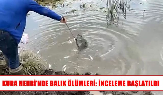Ardahan’da Kura Nehri’nde balık ölümleri araştırılıyor