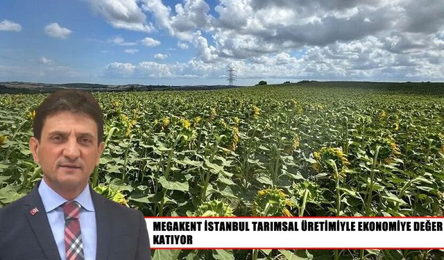Megakent İstanbul'da tarımsal üretim gücü