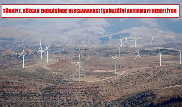 Türkiye rüzgar enerjisinde küresel işbirliğini güçlendirecek