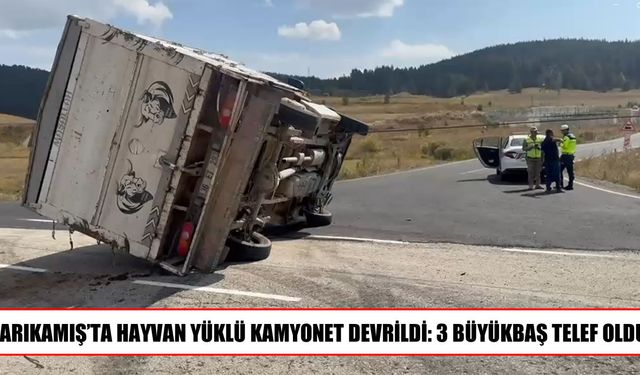 Sarıkamış’ta hayvan yüklü kamyonet devrildi: 3 büyükbaş telef oldu