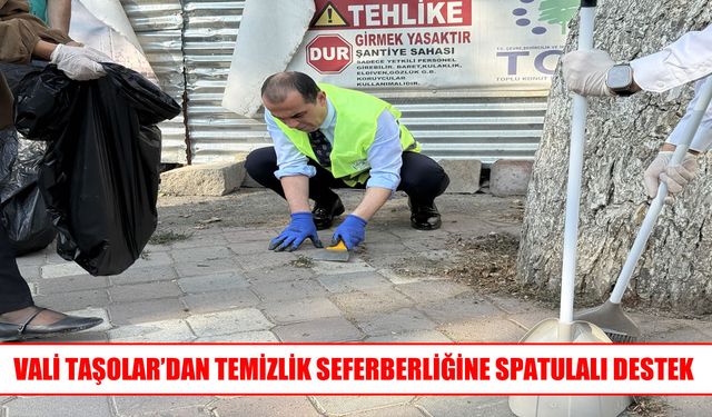 Vali Taşolar’dan örnek destek: ağaçların çevresini tek tek temizledi
