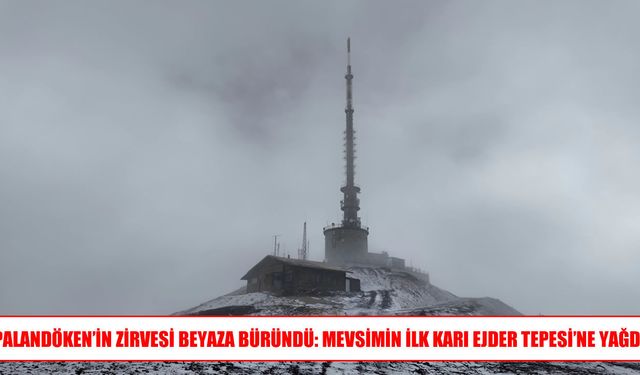 Bölge