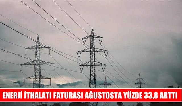 Ağustosta enerji ithalatı faturası arttı