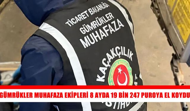 Gümrük ekiplerinden 8 ayda kaçakçılığa darbe: 19 bin 247 puro ele geçirildi