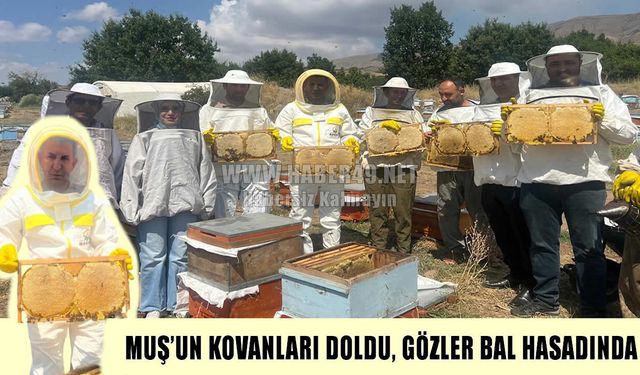 Muş’ta arıcıların kovan sayısı arttı, bal hedefi 605 tona yükseldi