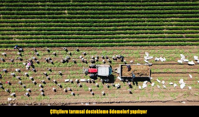 Çiftçilere tarımsal destek ödemesi müjdesi