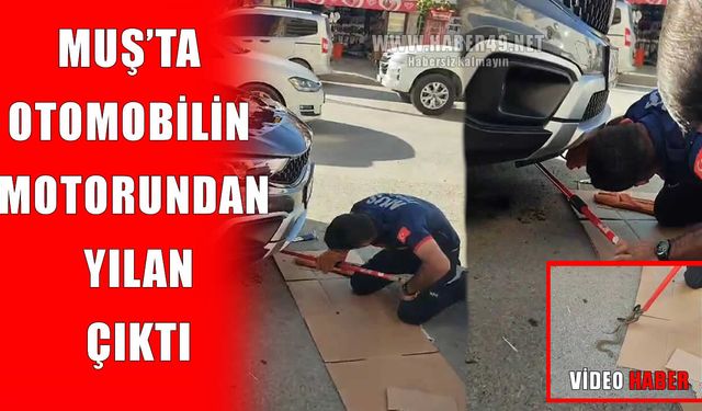 Muş’ta otomobilin motoruna giren yılanı itfaiye ekipleri çıkardı