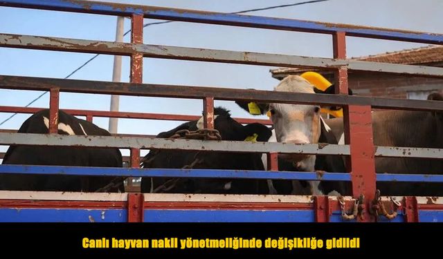 Canlı hayvan nakil yönetmeliğinde değişiklik yapıldı