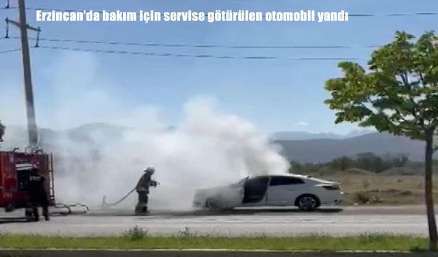 Bölge