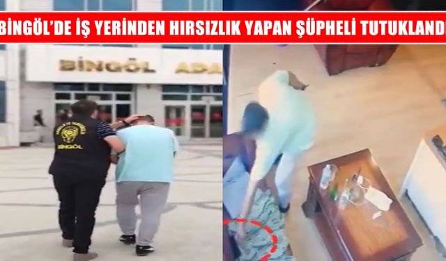 Bingöl’de iş yeri hırsızlığına 1 tutuklama