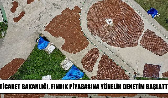 Ticaret Bakanlığı fındık piyasasını mercek altına aldı