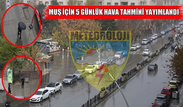 Muş’ta 5 günlük hava durumu belli oldu: Yağış geliyor