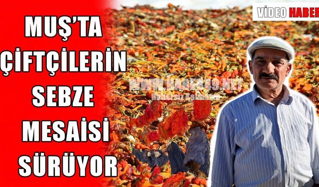 Muşlu çiftçinin ürünleri çevre illerin sofrasında
