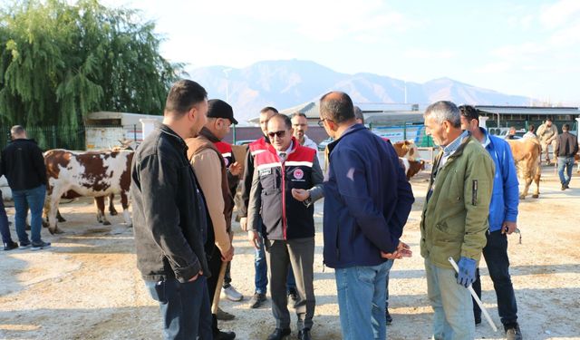 Erzincan’da hayvan yetiştiricilerine şap hastalığına karşı aşılama uyarısı