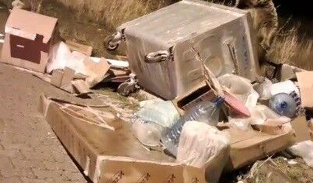 Sarıkamış'ta çöp konteynerlerinin arkasından ayı çıkıyor