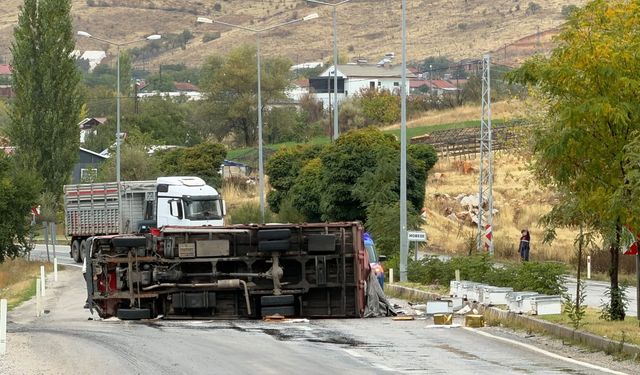 Malatya'da arı yüklü kamyon devrildi: 2 yaralı