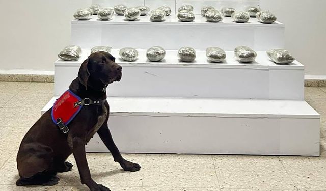 Başkale’de 10 kilo toz esrar ele geçirildi