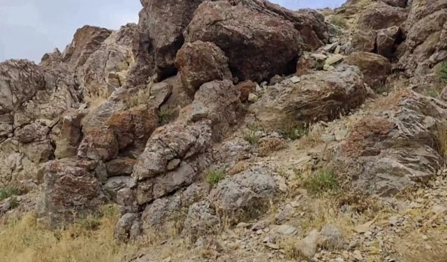 Özalp’te yıldırım faciası: 14 yaşındaki çocuk hayatını kaybetti