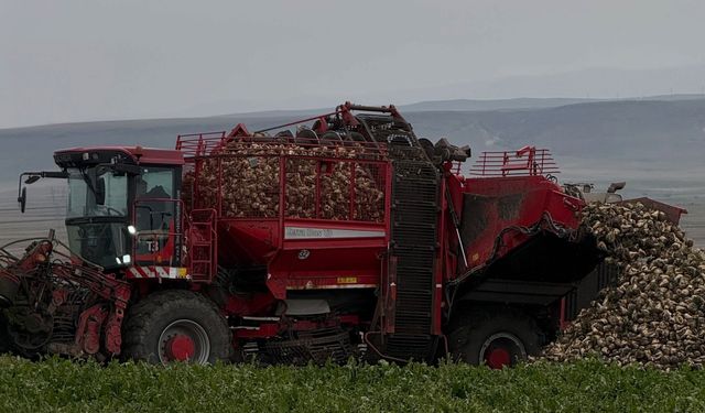 Akyaka Kaymakamı Demirtaş, şeker pancarı hasadına katıldı