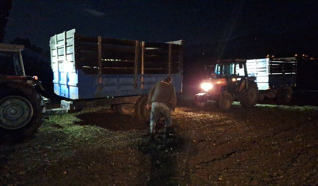 Erzincan’da şeker pancarı hasadı gece gündüz sürüyor