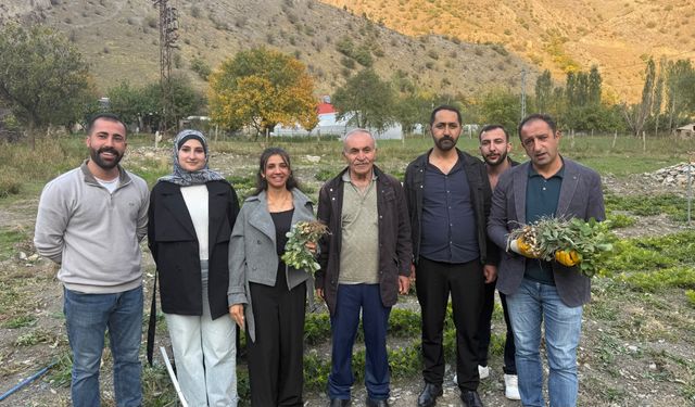Hakkâri'de tarımda bir ilk: Bin 350 rakımda yer fıstığı yetiştirildi